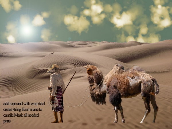 Creation of Parallel Camel Universe: Step 12